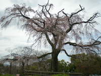 DSCN2220.JPG