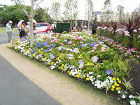 DSCF4591.JPG
