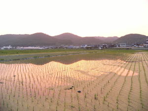 DSCF5296.JPG