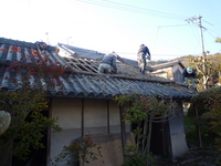 P1020588.JPGのサムネール画像