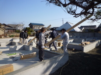 P1030375.JPGのサムネール画像