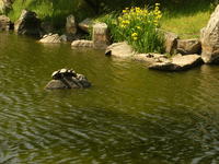 DSCF4212.JPG