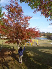 P1010998.JPGのサムネール画像のサムネール画像