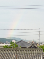 P1050571.JPGのサムネール画像